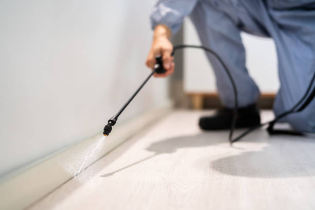 Certified termite inspector examining foundation in Blue Ash