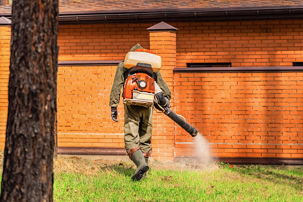 Bed Bug Clearance Verification and Documentation in Blue Ash